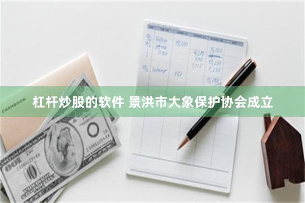 杠杆炒股的软件 景洪市大象保护协会成立