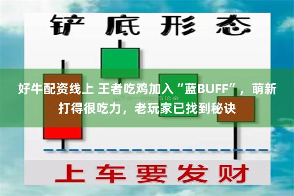 好牛配资线上 王者吃鸡加入“蓝BUFF”，萌新打得很吃力，老玩家已找到秘诀