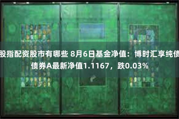 股指配资股市有哪些 8月6日基金净值：博时汇享纯债债券A最新净值1.1167，跌0.03%