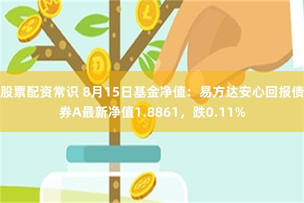 股票配资常识 8月15日基金净值：易方达安心回报债券A最新净值1.8861，跌0.11%