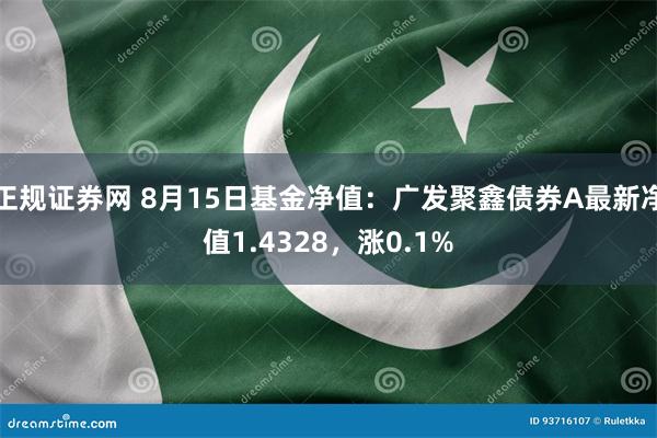 正规证券网 8月15日基金净值：广发聚鑫债券A最新净值1.4328，涨0.1%