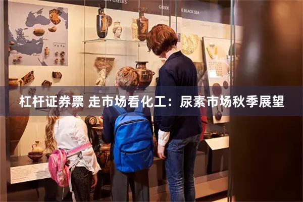 杠杆证券票 走市场看化工：尿素市场秋季展望