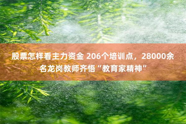 股票怎样看主力资金 206个培训点，28000余名龙岗教师齐悟“教育家精神”