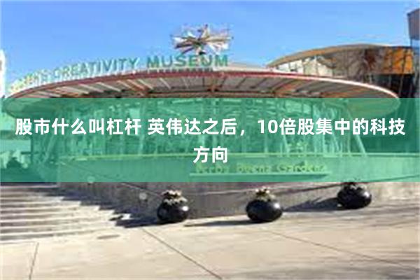 股市什么叫杠杆 英伟达之后，10倍股集中的科技方向