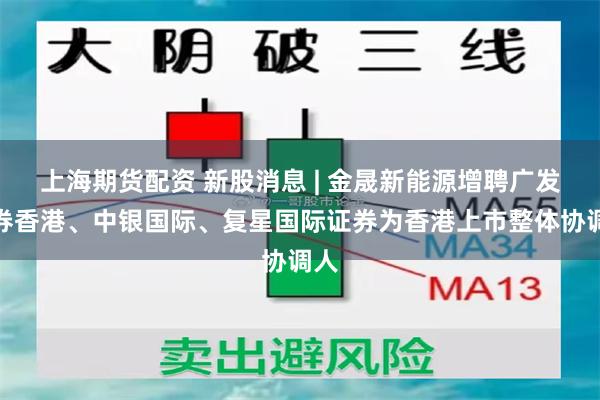 上海期货配资 新股消息 | 金晟新能源增聘广发证券香港、中银国际、复星国际证券为香港上市整体协调人